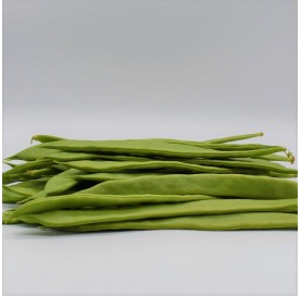 Broad Bean in Tray of 250 g