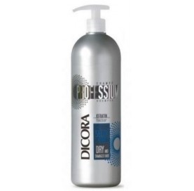 Professium Professium Dry and Damaged Hair Shampoo Dicora Urban Fit 1 L
