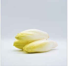 Belgian Endive in tray of 3 units