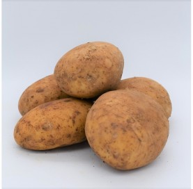 Potato in net of 5 Kg