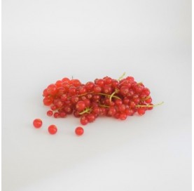 Red Currants in Tray