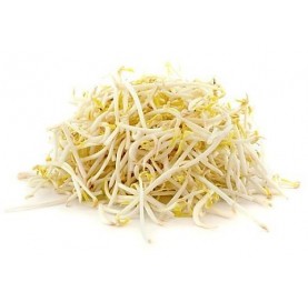 Bean Sprouts in Tray 150 g