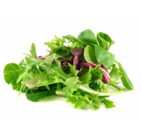 Gemischter Salat im 500 g Beutel