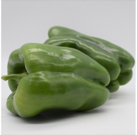 Green Lamuyo Pepper