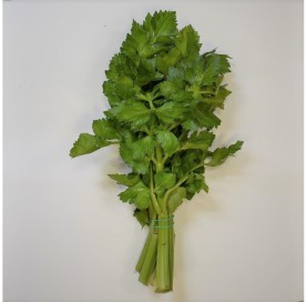 Green Celery by the bunch
