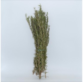 Rosemary in bunches of 100 g