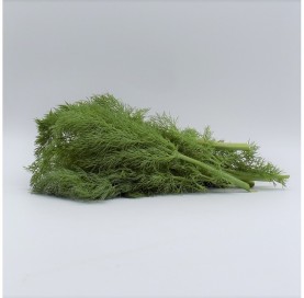 Dill in tray 50 g